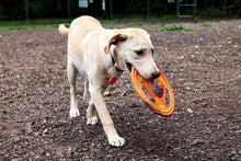 Load image into Gallery viewer, Hartz Tuff Stuff Toss Around Plush Frisbee Flyer Dog Toy - Medium/Large
