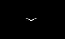 Load image into Gallery viewer, iVertu Black VERTU Mobile Phone
